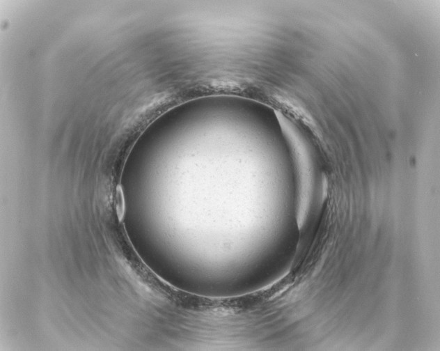 X0000087000593200704231912