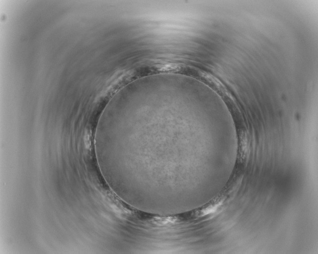 X0000087000667200704231911
