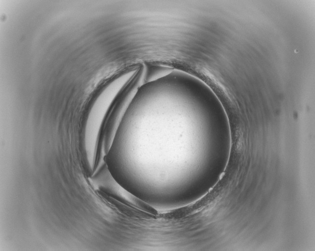 X0000087000685200704231910