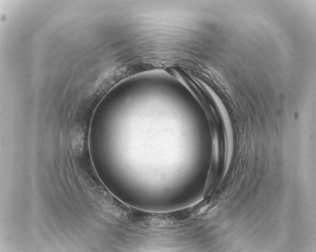 X0000087000697200704231910