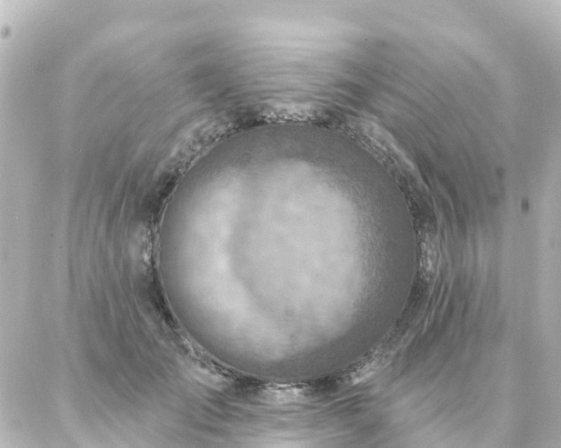 X0000087000701200704231910
