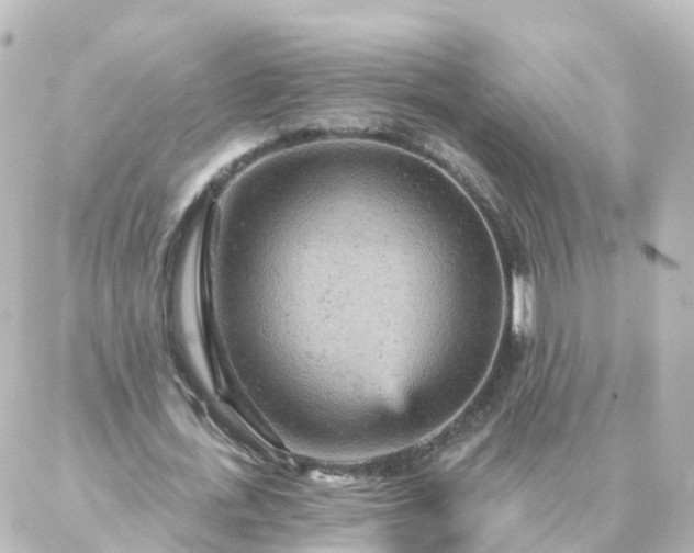 X0000087000723200704231909