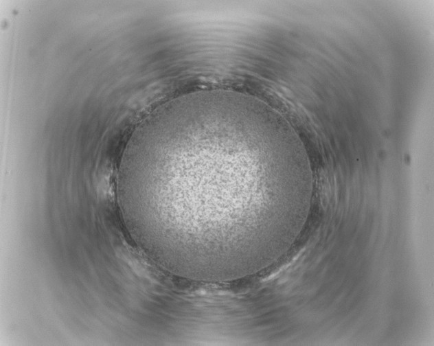 X0000087000770200704231909