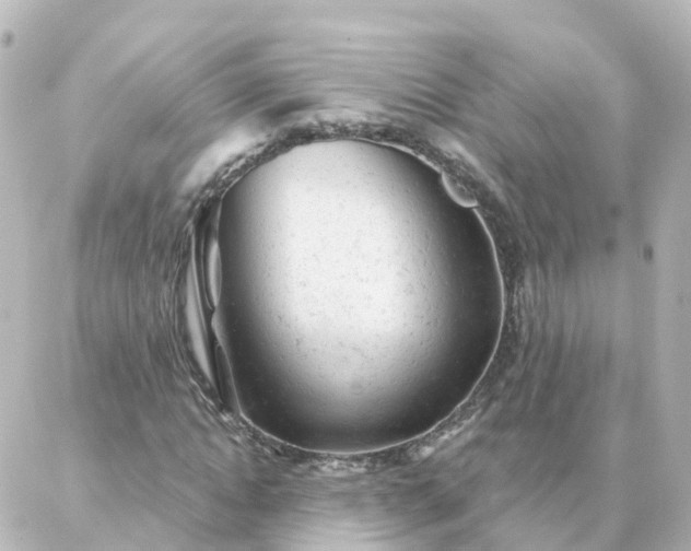 X0000087000822200704231907