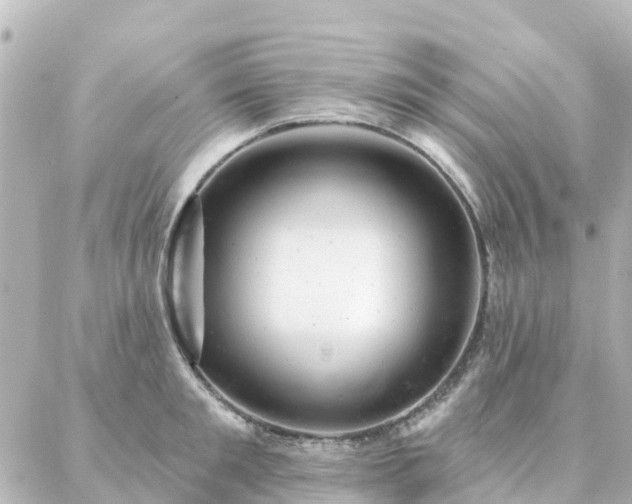 X0000087000901200704231907