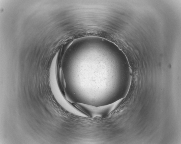 X0000087000916200704231906