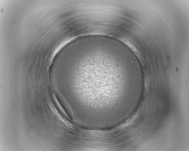 X0000087000933200704231906