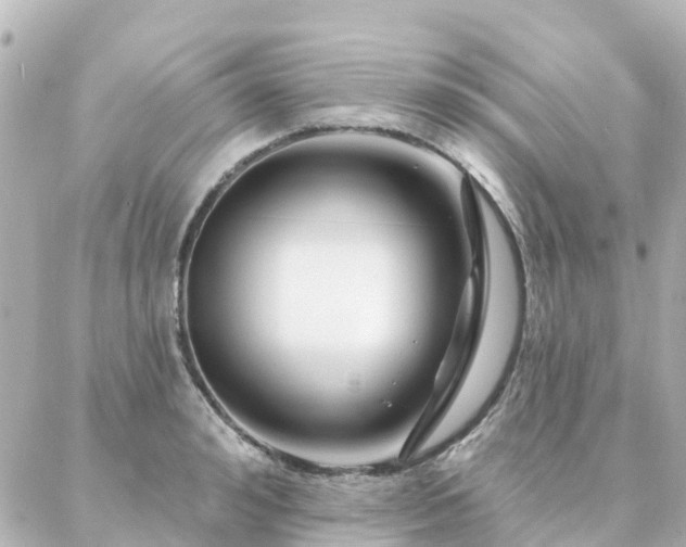 X0000087000992200704231905