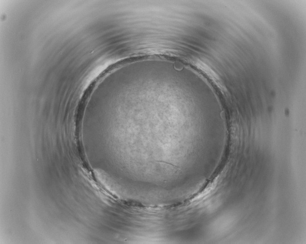 X0000087001023200704231904
