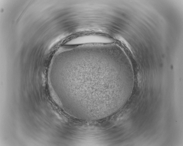 X0000087001064200704231904