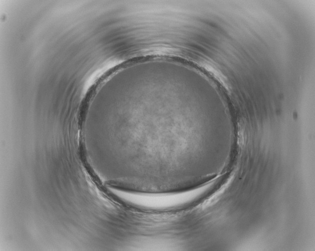 X0000087001117200704231903