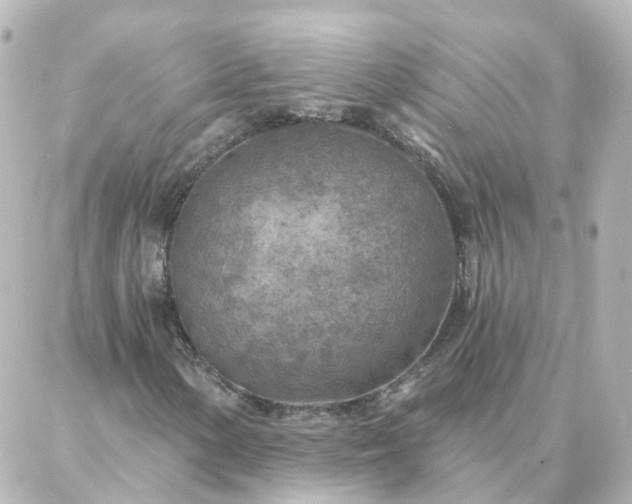X0000087001154200704231903