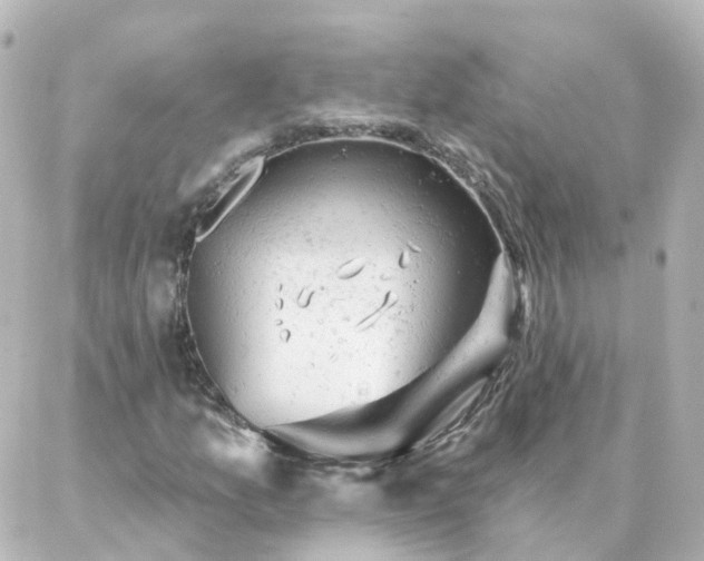 X0000087001157200704231903