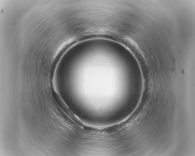 X0000087001218200704231901