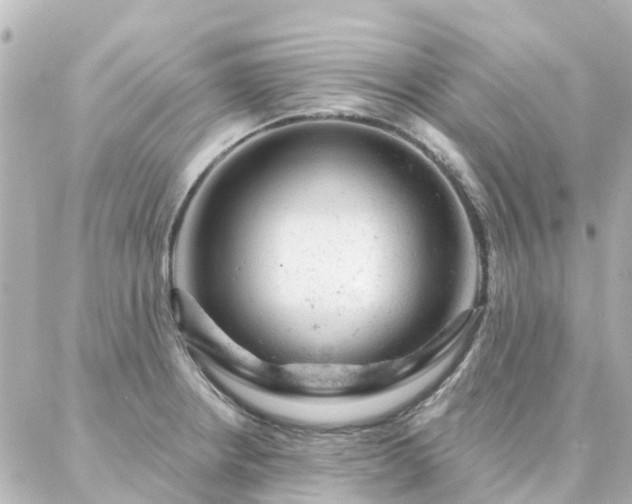X0000087001234200704231902