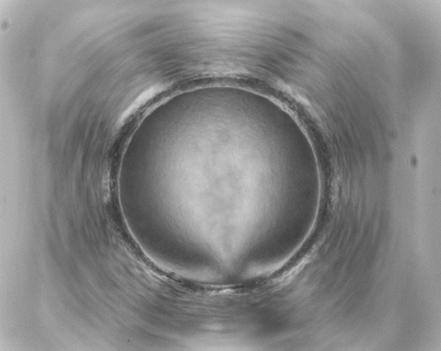X0000087001306200704231900