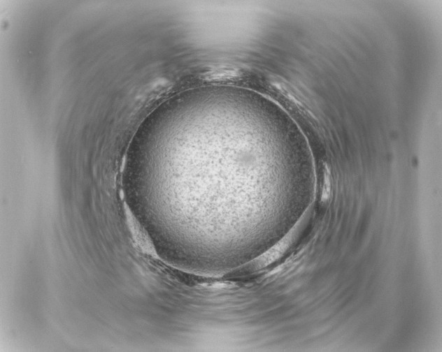 X0000087001441200704231858