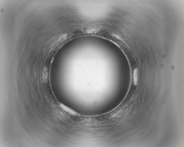 X0000087001443200704231858