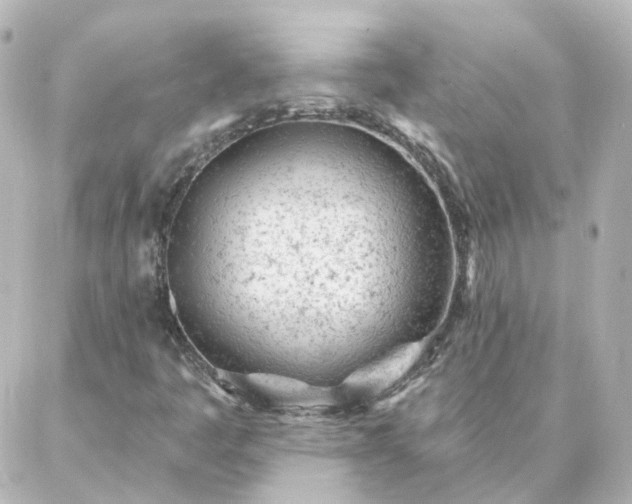 X0000087001445200704231858