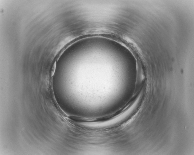 X0000087001457200704231858