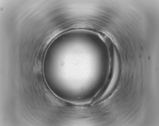 X0000087001465200704231858