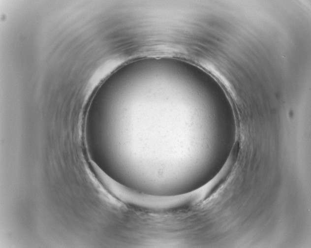 X0000087001477200704231857