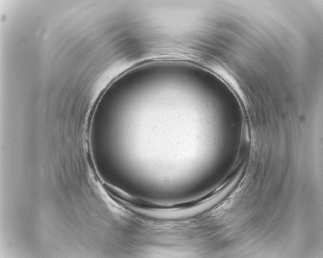 X0000087001485200704231857