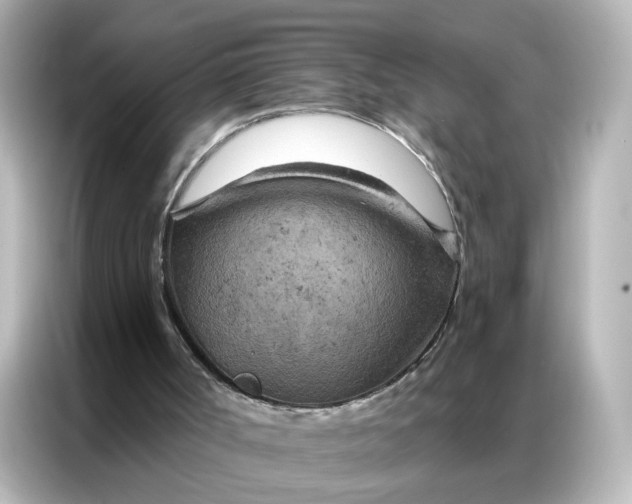 X0000087000002200704301407