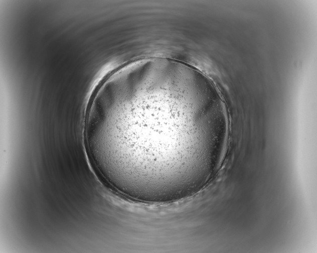 X0000087000003200704301407