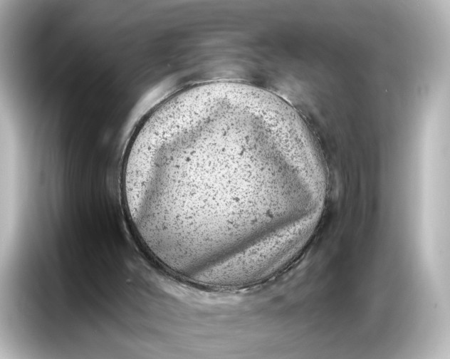 X0000087000004200704301407