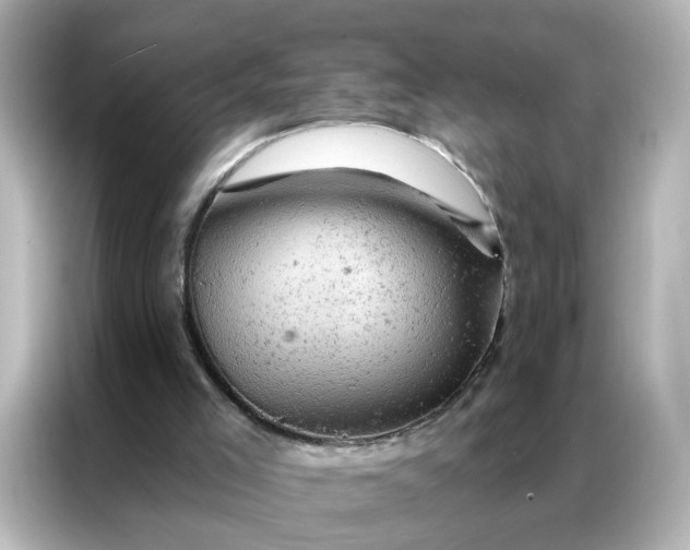 X0000087000005200704301407