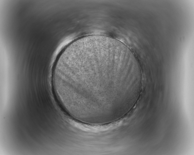 X0000087000006200704301407