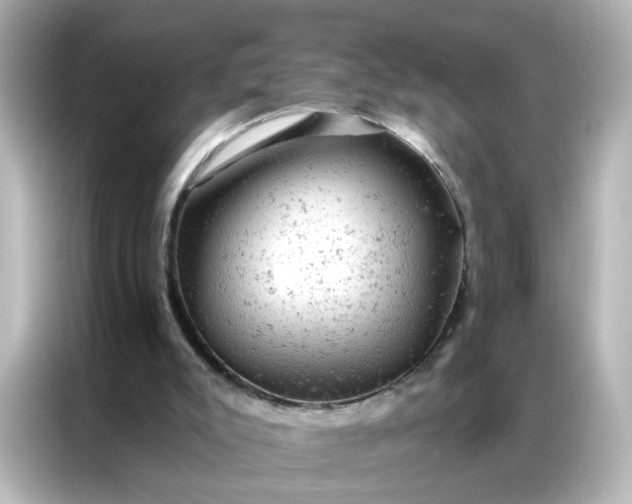 X0000087000007200704301407