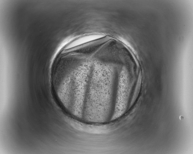 X0000087000008200704301407