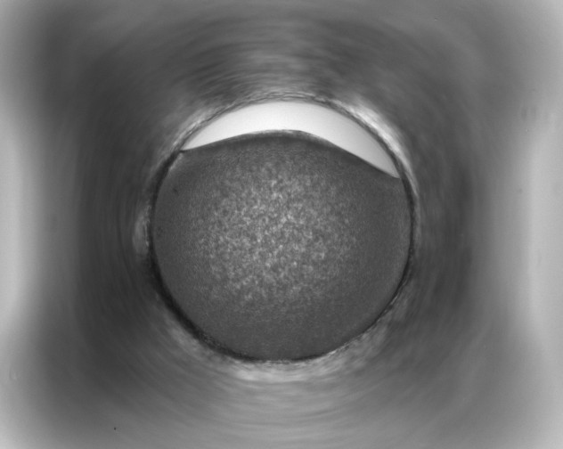 X0000087000009200704301407