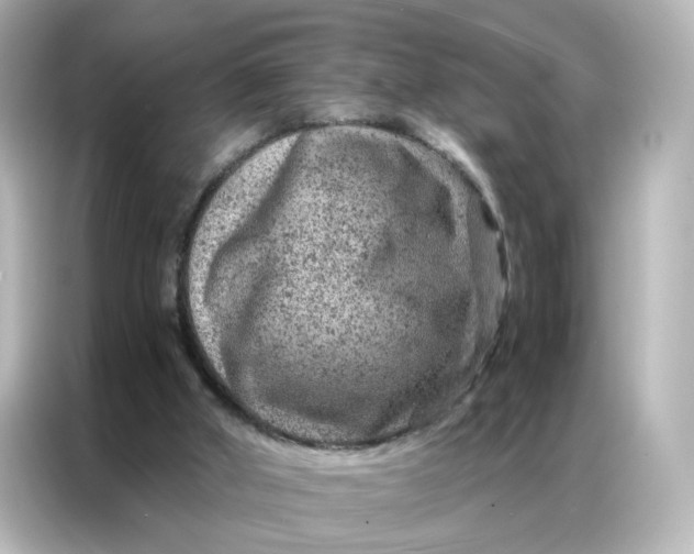 X0000087000010200704301407