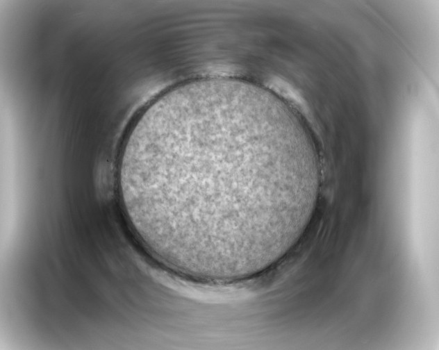 X0000087000012200704301407