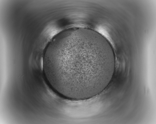 X0000087000013200704301407