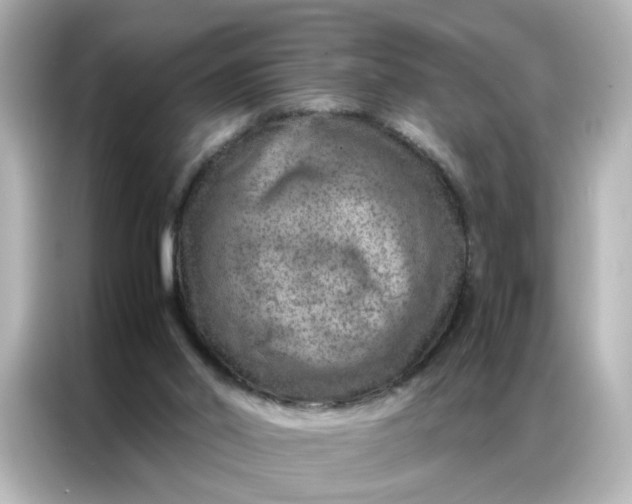 X0000087000014200704301407