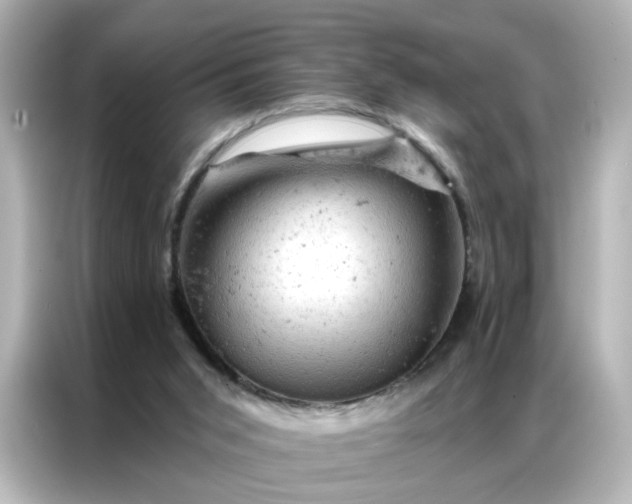 X0000087000015200704301407