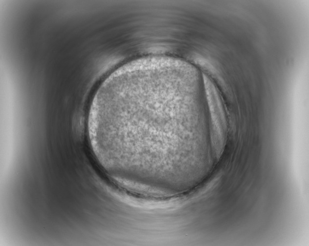 X0000087000016200704301407