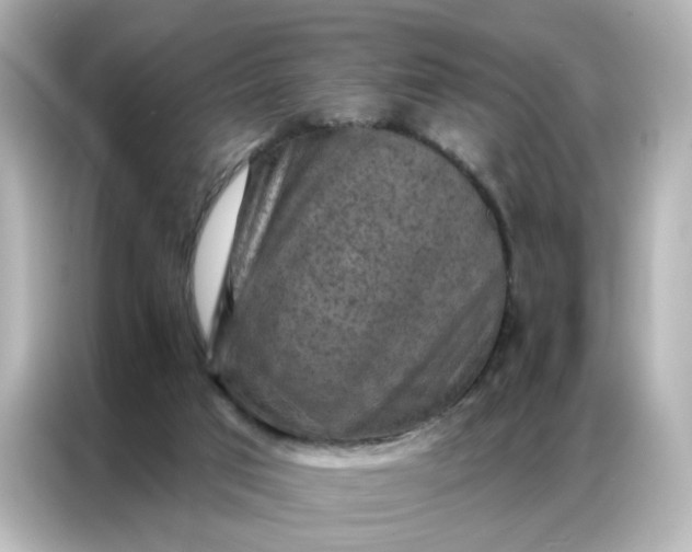 X0000087000017200704301407