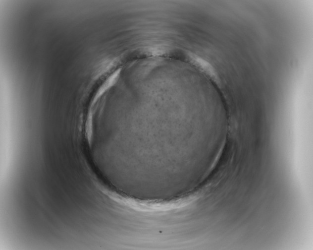 X0000087000018200704301407