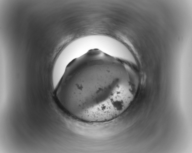 X0000087000019200704301407