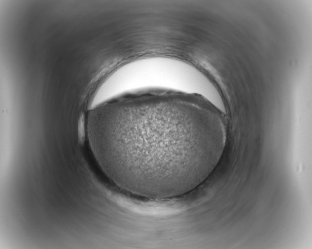 X0000087000020200704301407