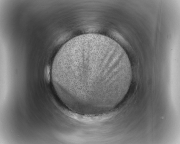 X0000087000022200704301407