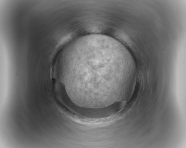 X0000087000023200704301407