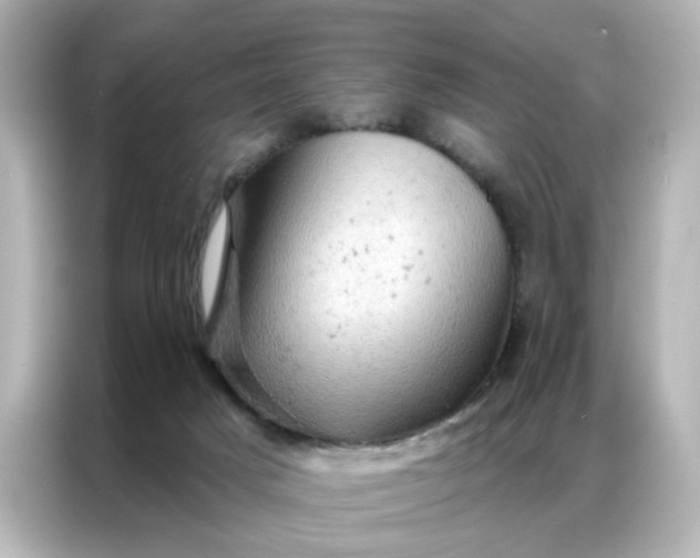 X0000087000025200704301407