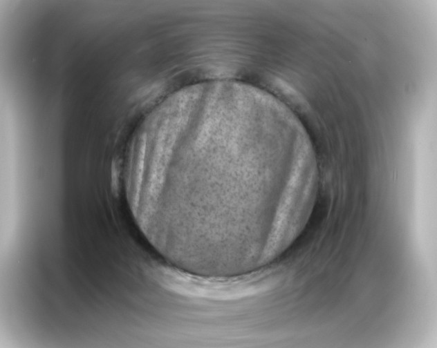 X0000087000026200704301407