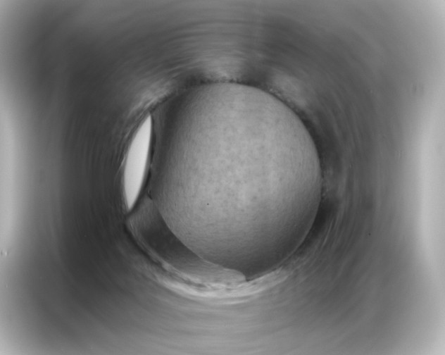 X0000087000027200704301407